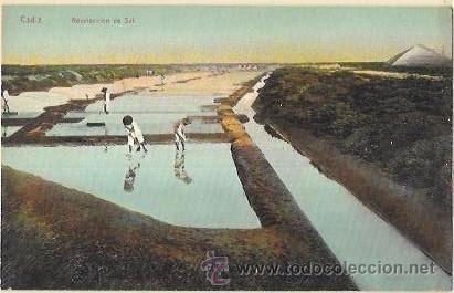 Postkarten: TARJETA POSTAL DE CADIZ. RECOLECCI&Oacute;N DE SAL.