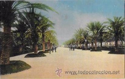 Postkarten: TARJETA POSTAL DE CADIZ. PARQUE GENOV&Eacute;S. PASEO DE PALMERAS.