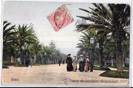 Postais: TARJETA POSTAL DE CADIZ. PARQUE GENOV&Eacute;S, PASEO DE PALMERAS.