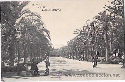 Cartoline: TARJETA POSTAL DE CADIZ. PARQJUE GENOV&Eacute;S H.M.-M