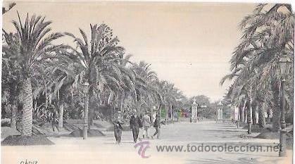 Cartoline: TARJETA POSTAL DE CADIZ. EL PARQUE GENOV&Eacute;S.