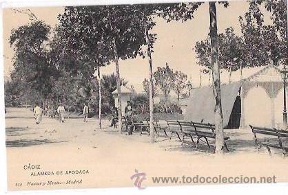 Cartoline: TARJETA POSTAL DE CADIZ. ALAMEDA DE APODACA. HAUSER Y MENET.