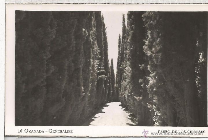 Postales: GRANADA GENERALIFE SIN ESCRIBIR - Foto 1