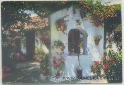 Postales: POSTAL DE CORDOBA. PATIO TIPICO N&ordm; 8   P-ANCOR-655