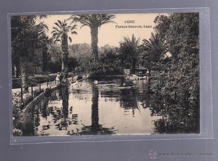 Cartoline: TARJETA POSTAL DE CADIZ - PARQUE GENOVES. CASCADA. HAUSER Y MENET