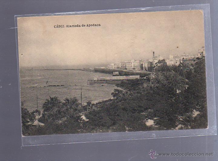 Cartoline: TARJETA POSTAL DE CADIZ - ALAMEDA DE APODACA. HAUSER Y MENET