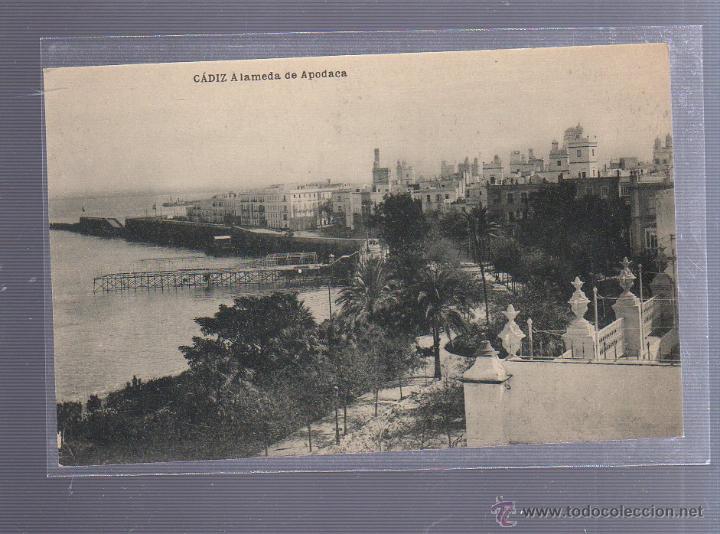 Cartoline: TARJETA POSTAL DE CADIZ - ALAMEDA DE APODACA. HAUSER Y MENET