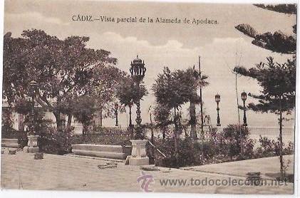 Postkarten: TARJETA POSTAL DE CADIZ. VISTA PARCIAL DE LA ALAMEDA DE APODACA.