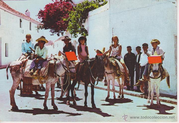 Postales: (5231) MIJAS. BURRITOS TIPICOS - Foto 1