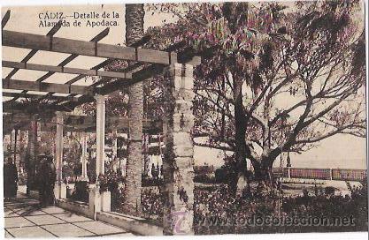 Postcards: TARJETA POSTAL DE CADIZ. DETALLE DE LA ALAMEDA DE APODACA.