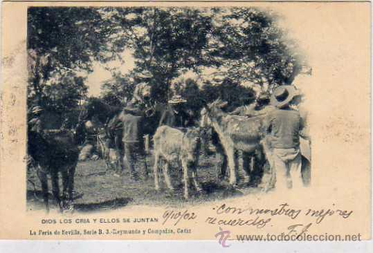 Postales: Dios los Cria y ellos se juntan. La Feria de Sevilla. Serie B 3 Reymundo y Compa&ntilde;ia Cadiz.