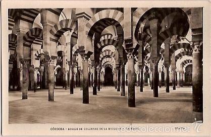 Postales: ANTIGUA POSTAL CORDOBA BOSQUE DE COLUMNAS DE LA MEZQUITA CATEDRAL GRACIA 1930