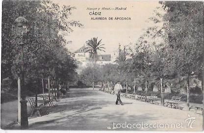 Postcards: TARJETA POSTAL DE CADIZ. ALAMEDA DE APOCADA. HAUSER Y MENET.