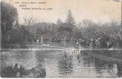 Postais: TARJETA POSTAL DE CADIZ. PARQUE GENOV&Eacute;S: EL LAGO. HAUSER Y MENET.