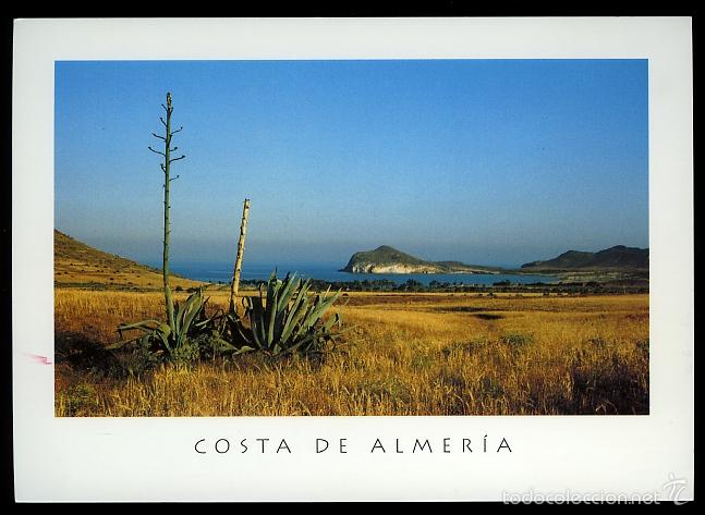 Postales: N&ordm; 8037 El M&oacute;nsul. Costa de Almer&iacute;a. Triangle Postals. Foto Paco Vilalta.