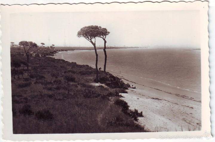 Postales: PUERTO REAL RIO SAN PEDRO