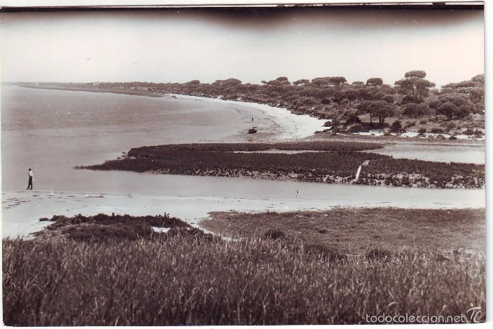 Postales: PUERTO REAL RIO SAN PEDRO