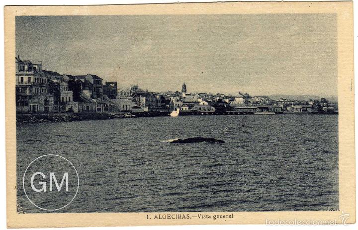 Postais: BONITA POSTAL - ALGECIRAS (CADIZ) - VISTA GENERAL