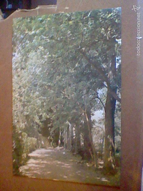 Postales: tajo balnearios alhama granada ed Gallegos  s/n&ordm;