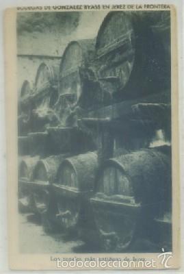 Postales: POSTAL DE JEREZ. BODEGAS GONZALEZ BYASS. LOS TONELES MAS ANTIGUOS DE JEREZ N&ordm; 37 P-ANJE-462