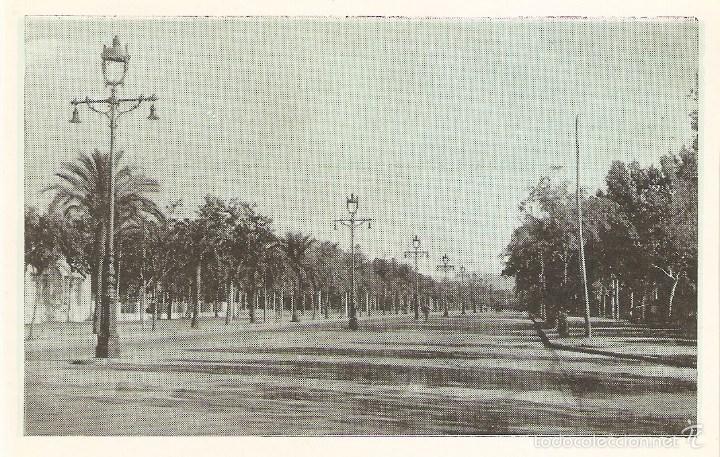 Cartoline: Vendo Antigua Postal de Cordoba, Paseo de la Victoria. Otra Foto en el Interior.