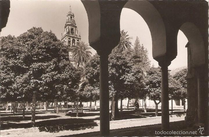 Cartoline: Vendo Antigua Postal de Cordoba Patio de los Naranjos y Campanario Catedral Otra Foto en el Interior