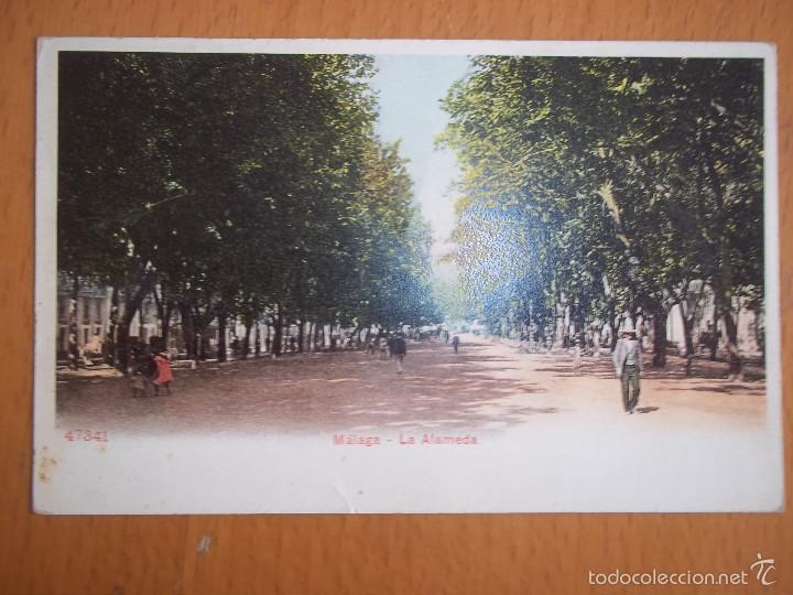 Postales: POSTAL MALAGA. LA ALAMEDA. 47341. SIN DIVIDIR. ORIGINAL DE &Eacute;POCA.