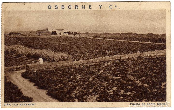 Postkarten: BONITA POSTAL - PUERTO DE SANTA MARIA (CADIZ) - OSBORNE - VI&Ntilde;A LA ATALAYA