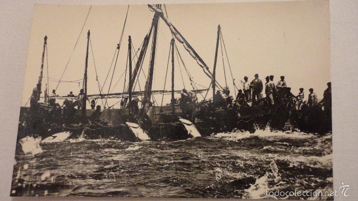Postales: ANTIGUA POSTAL.LA PESCA DEL ATUN.ISLA CRISTINA.HUELVA.ALARDE N&ordm; 27.SIN CIRCULAR.