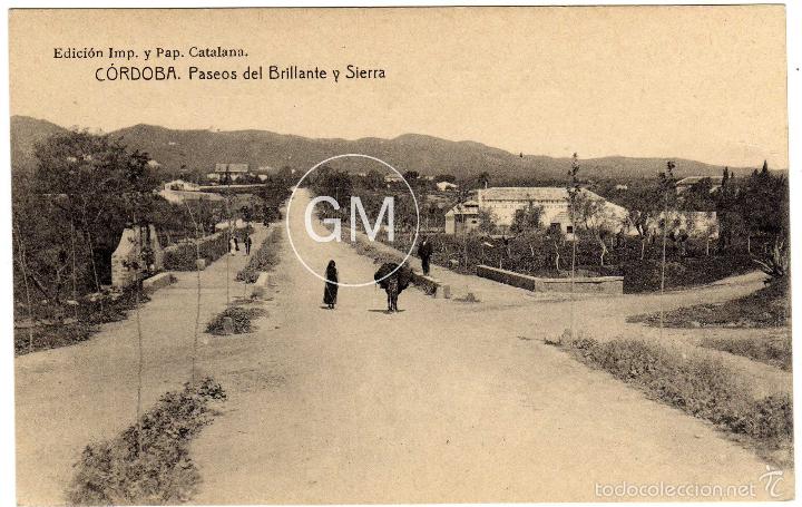 Cartoline: BONITA POSTAL - CORDOBA - PASEO DEL BRILLANTE Y SIERRA - AMBIENTADA