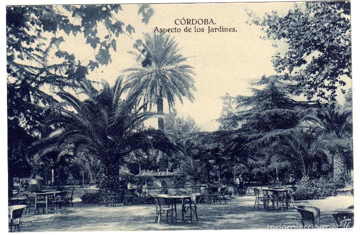 Cartoline: PRECIOSA POSTAL - CORDOBA - ASPECTO DE LOS JARDINES