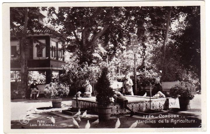 Cartoline: BONITA POSTAL - CORDOBA - JARDINES DE LA AGRICULTURA - AMBIENTADA - PALOMAS