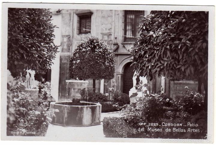 Cartoline: BONITA POSTAL - CORDOBA - PATIO DEL MUSEO DE BELLAS ARTES