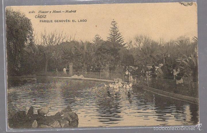 Postkarten: TARJETA POSTAL CADIZ - PARQUE GENOVES. EL LAGO. 2080. HAUSER Y MENET