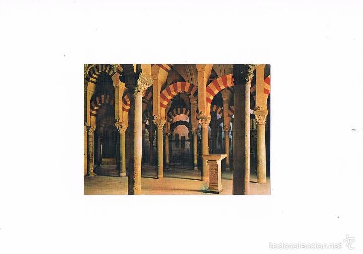 Postales: POSTAL ANTIGUA CORDOBA SIN CIRCULAR LA MEZQUITA LABERINTO DE COLUMNAS