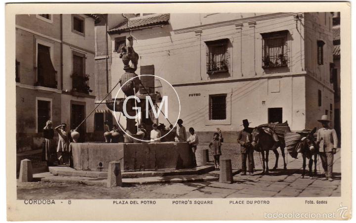 Cartoline: MAGNIFICA POSTAL - CORDOBA - PLAZA DEL POTRO - MUY AMBIENTADA  - FOTO GADES