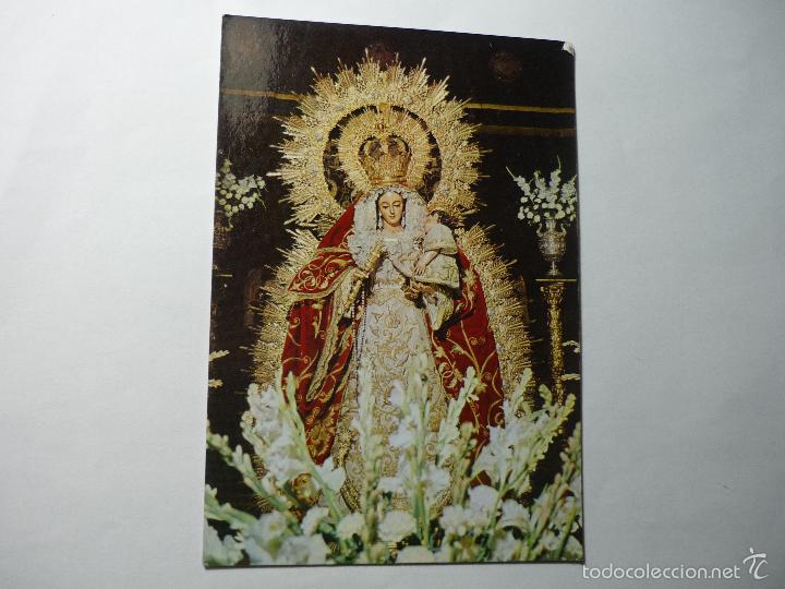Postales: postal sevilla.-basilica macarena-virgen del sto.rosario