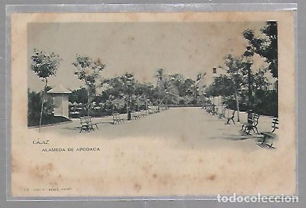 Postkarten: TARJETA POSTAL DE CADIZ - ALAMEDA DE APODACA. 149. HAUSER Y MENET