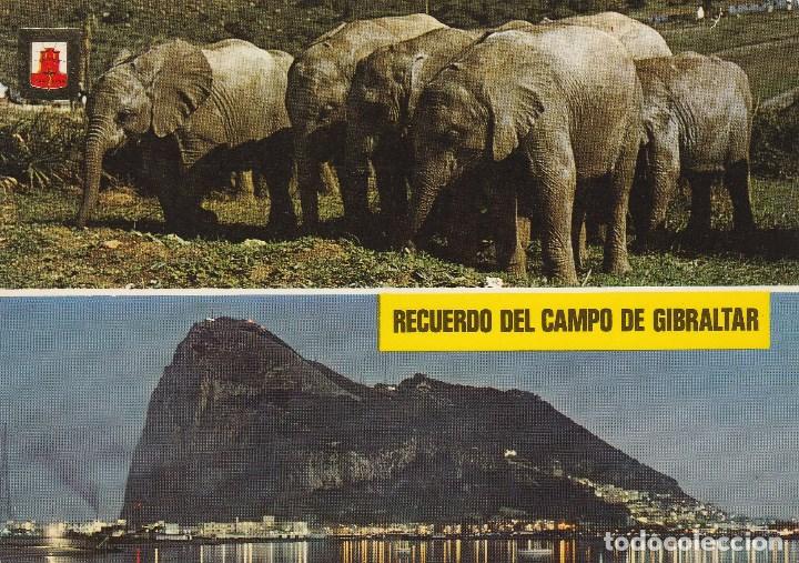 Postales: N&ordm; 26903 POSTAL CAMPO DE GIBRALTAR