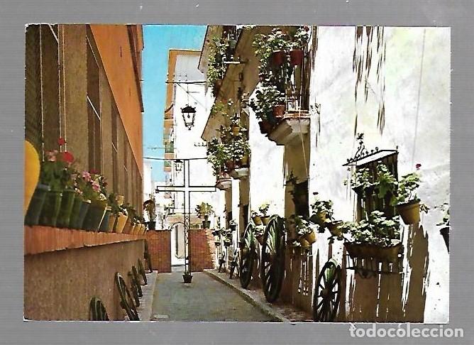 Cartoline: TARJETA POSTAL CADIZ - CALLEJON DE LOS DUROS ANTIGUOS. 2051. EDICIONES ARRIBAS