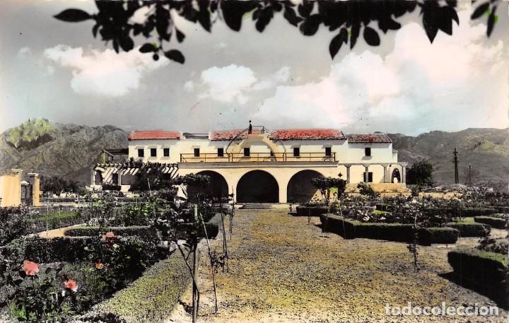 Postales: CIUDAD DE MARBELLA (M&Aacute;LAGA).- JARDINES DEL ALBERGUE DE SAN FRANCISCO. LA CONCHA AL FONDO.