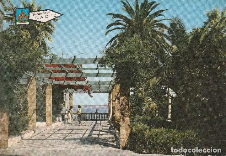 Postales: N&ordm; 26883 POSTAL CADIZ ALAMEDA