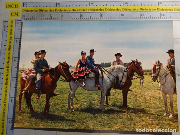 Cartes Postales: POSTAL DE ANDALUC&Iacute;A. A&Ntilde;O 1964. ROMER&Iacute;A, CABALLOS, ROMEROS. 808