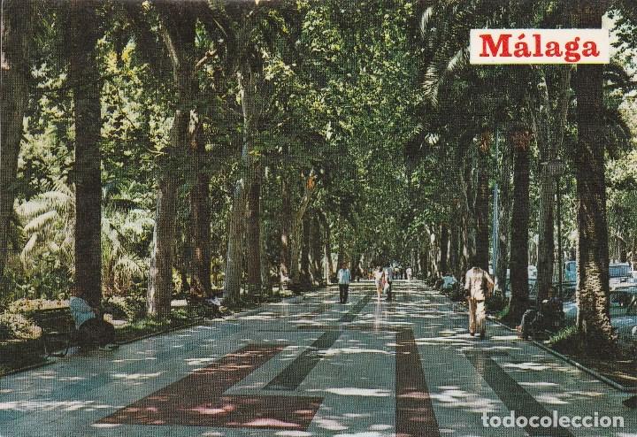 Postales: N&ordm; 27040 POSTAL MALAGA PASEO DEL PARQUE