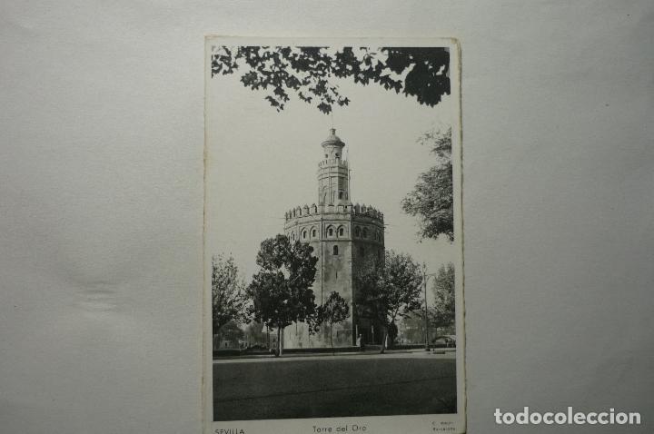 Postales: POSTAL SEVILLA TORRE DEL ORO --CM - Foto 1
