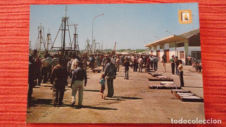 Postales: ANTIGUA POSTAL.SUBASTA DEL PESCADO PUERTO.SANLUCAR DE BARRAMEDA.CADIZ.SUBIRATS.A&Ntilde;OS 60.70