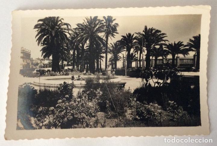 Postales: POSTAL FOTOGR&Aacute;FICA PARQUE DE CALDERON DETALLE DE LOS JARDINES PUERTO DE SANTA MAR&Iacute;A CADIZ