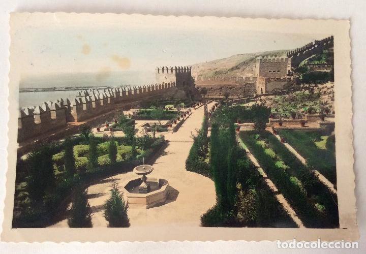 Postales: POSTAL FOTOGR&Aacute;FICA COLOREADA. JARDINES DE LA ALCAZABA. ALMERIA.