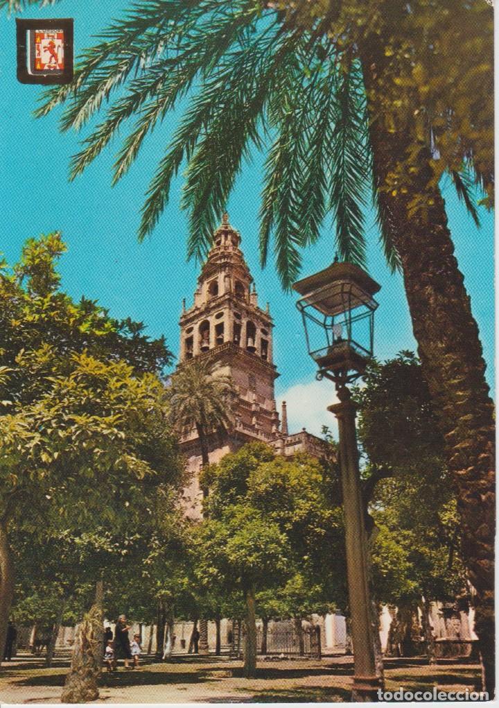 Postales: (711) CORDOBA. PATIO DE LOS NARANJOS Y CAMPANARIO DE LA MEZQUITA