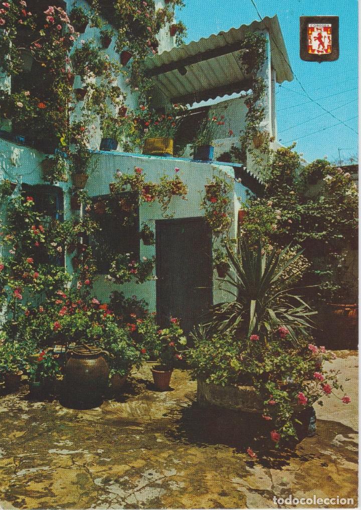 Postales: (973) CORDOBA. PATIO 1 R PREMIO. PASEO DE LA RIBERA 33